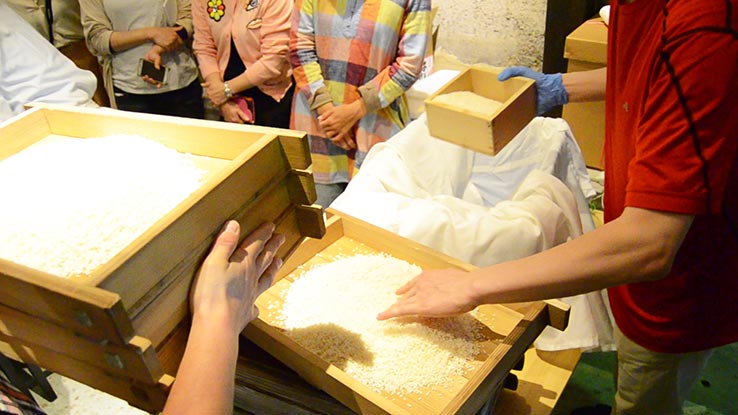 麹づくりワークショップ